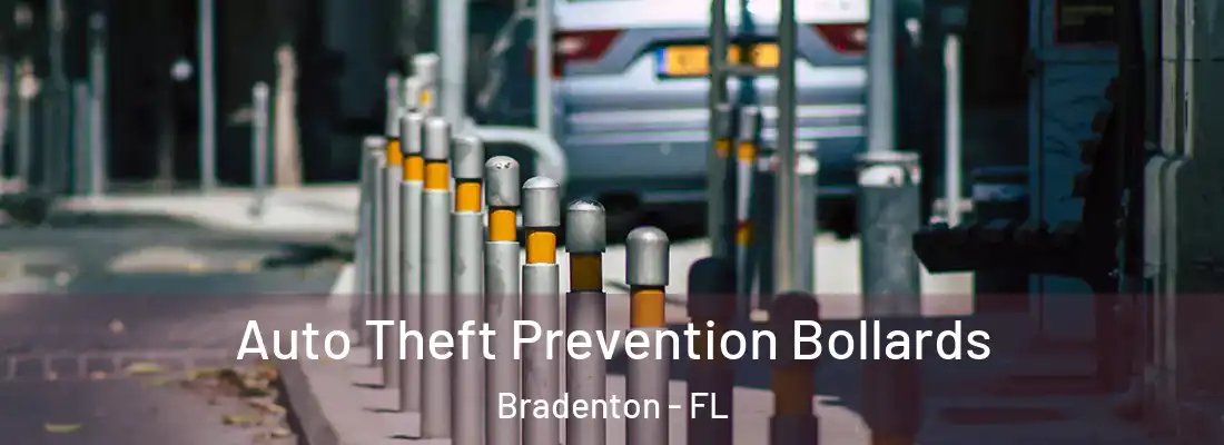  Auto Theft Prevention Bollards Bradenton - FL